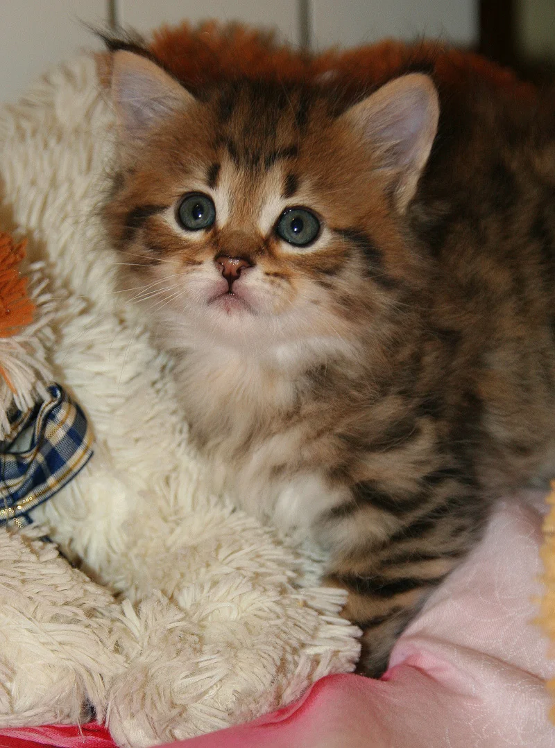 Zdjęcie z galerii
